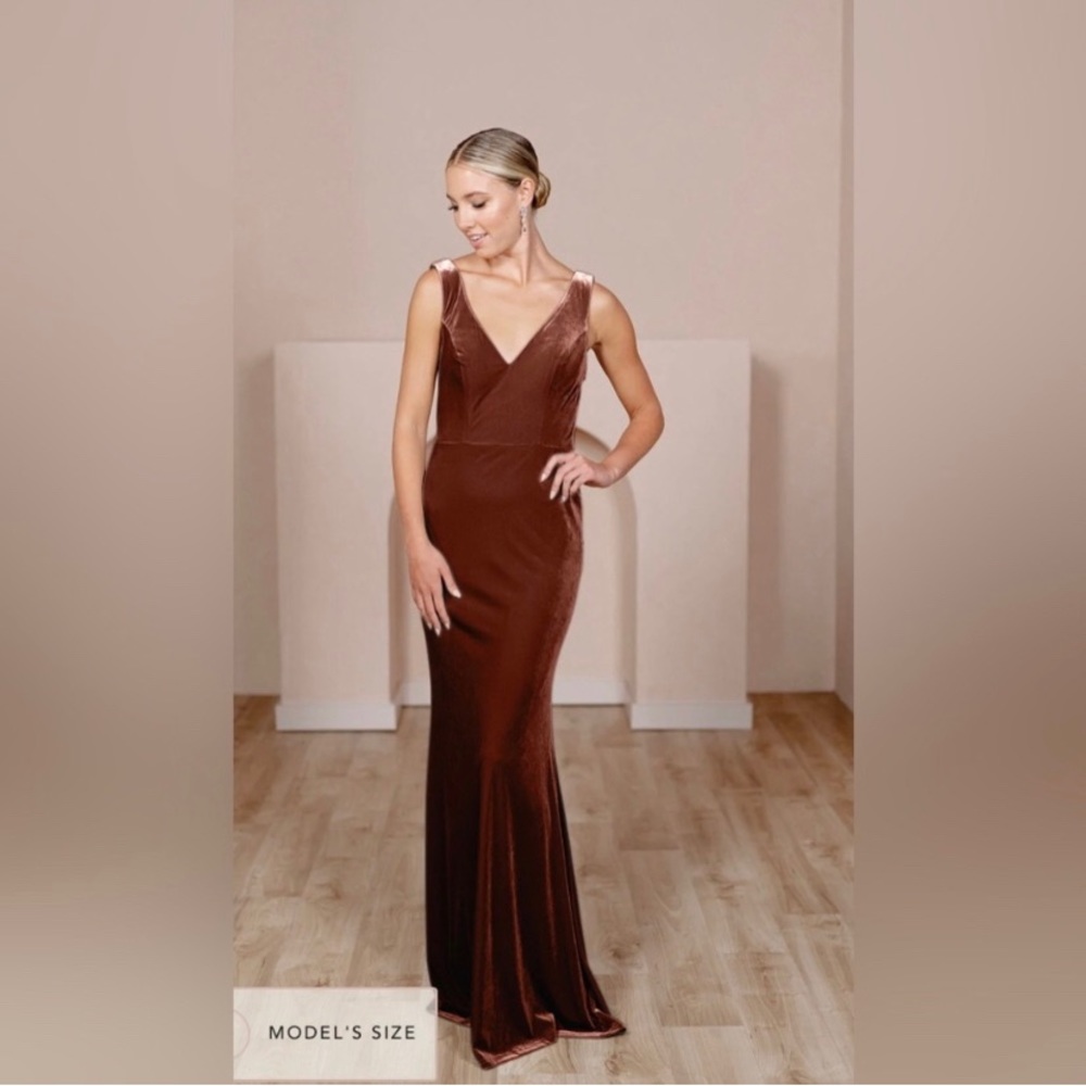 Revelry Dakota Dress - Velvet Teracotta Size 4